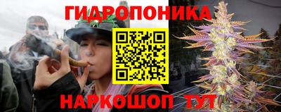 метадон Гусев
