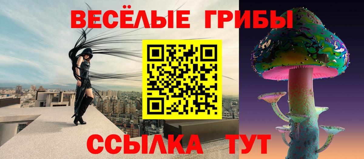 Малоярославец  Галлюциногенные грибы прущие грибы  Псилоцибиновые грибы Cubensis  Вход с VPN 