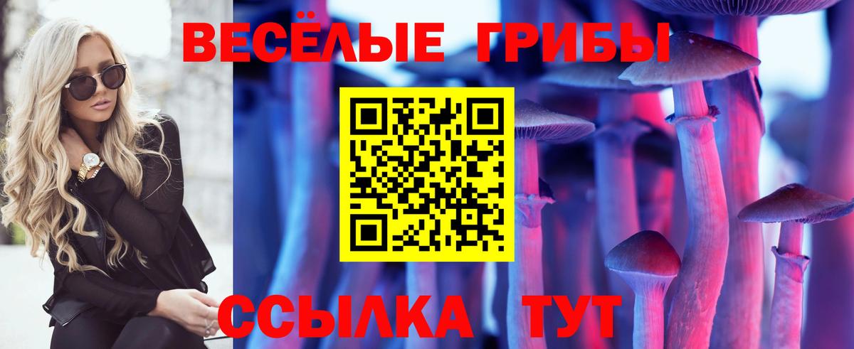 Псилоцибиновые грибы Magic Shrooms Малоярославец